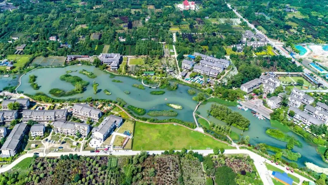 制定篮球交流计划以促进个人技能发展的方法_2